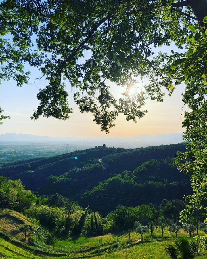 Villa Del Parco In Tuscany 산바론토 외부 사진